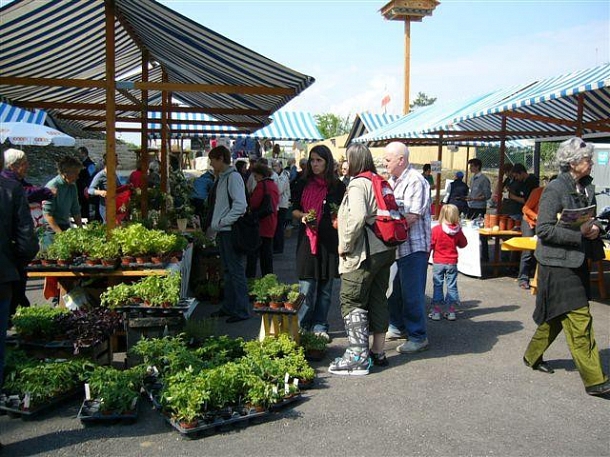 Riehener Dorfmarkt