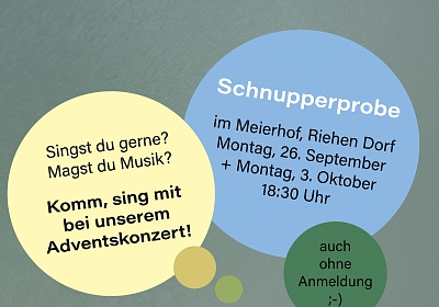 Basel Chamber Voices Schnupperprobe