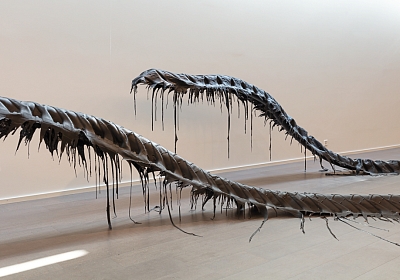 Vanessa Billy, Centipedes, 2020, Courtesy the artist. Photo: Dylan Perrenoud